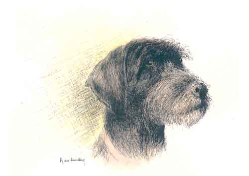 chien