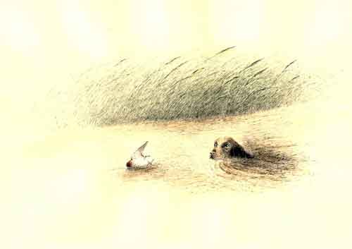 divers